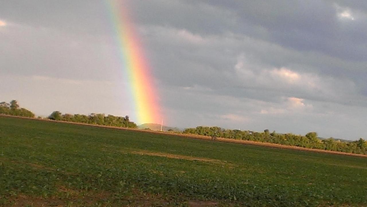 Ferienwohnungen Blume am Schloßberg Bad Berka Exterior foto